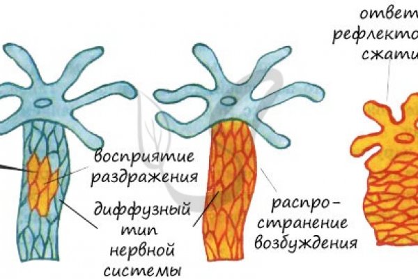 Маркетплейс кракен купить