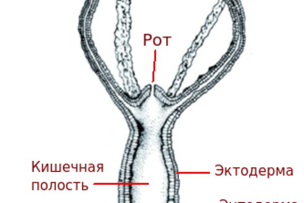 Ссылка кракена kraken clear com