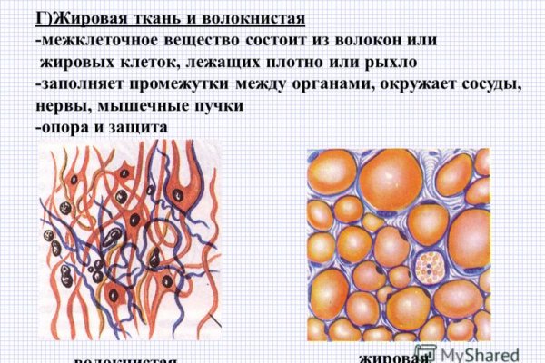 Kraken tor onion