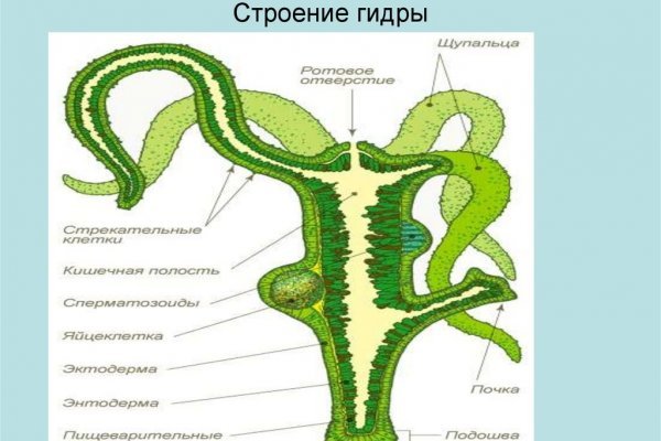 Кракен не заходит